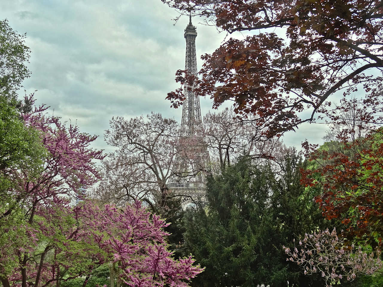 La tour Eiffel au printemps