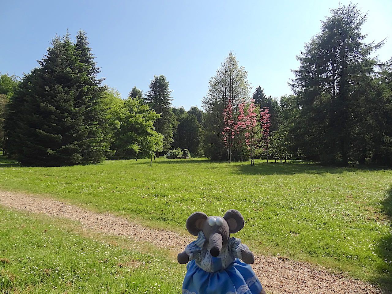 Arboretum de Lyons-la-Forêt