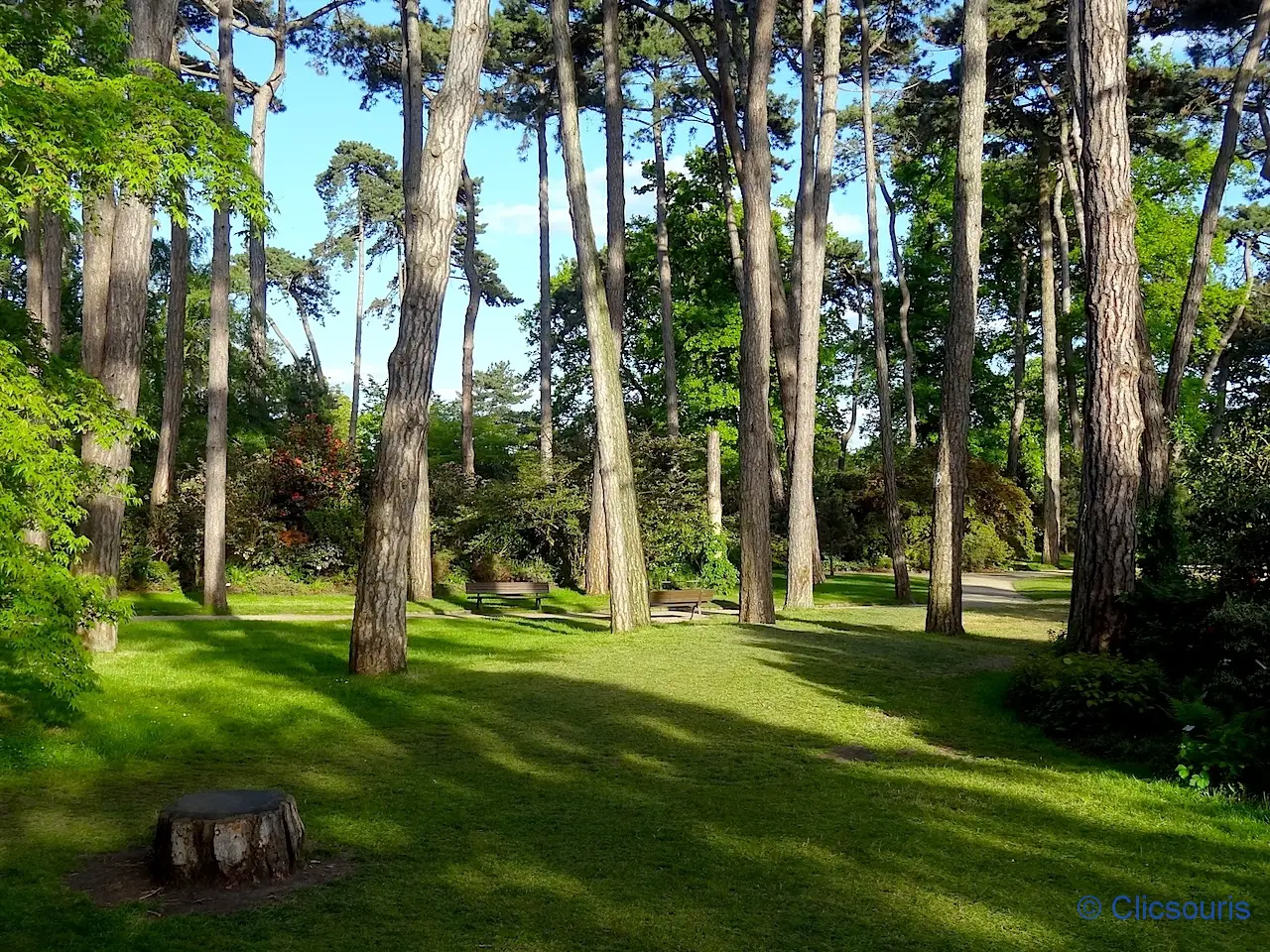 parc floral de Paris