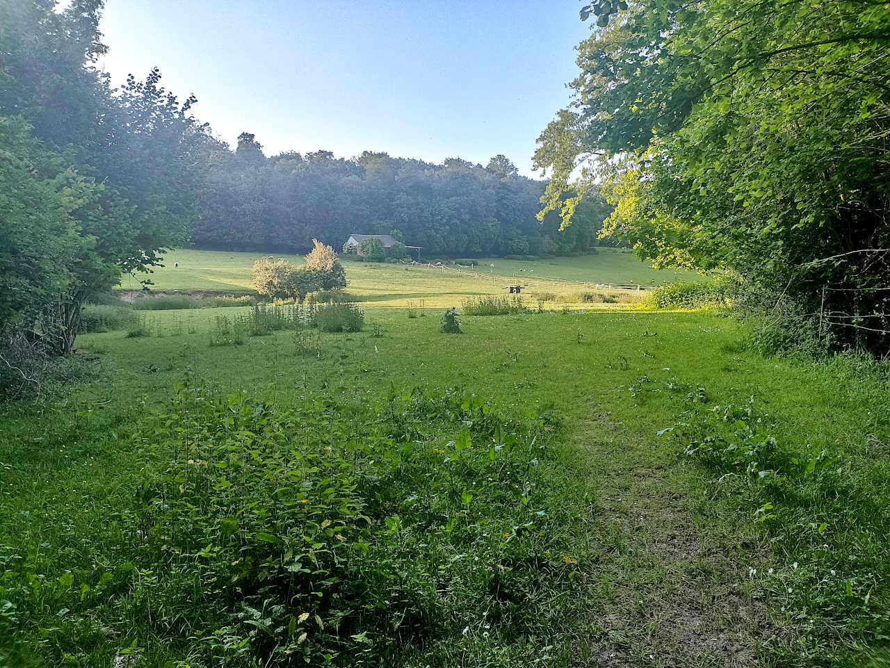 Lyons-la-Forêt campagne