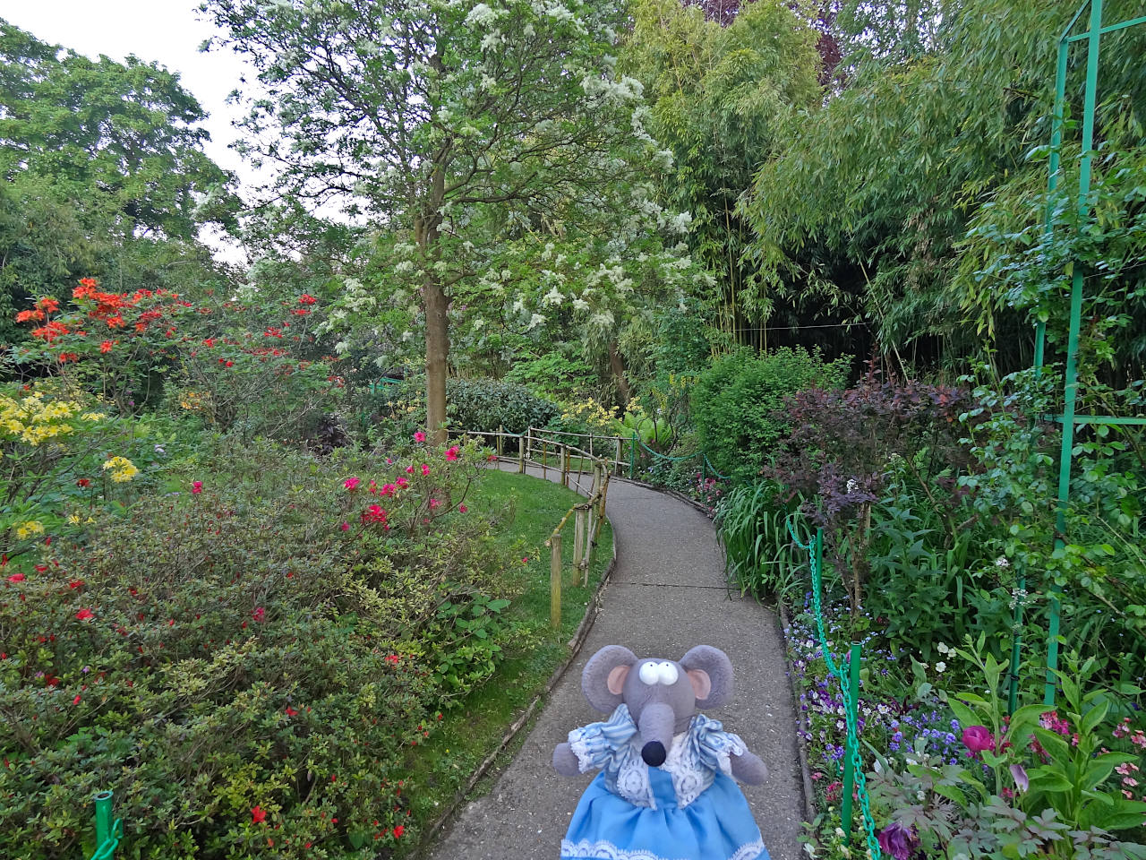 jardin de Claude Monet à Giverny