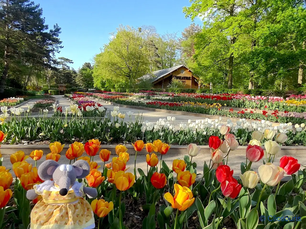 tulipes au parc floral du bois de Vincennes