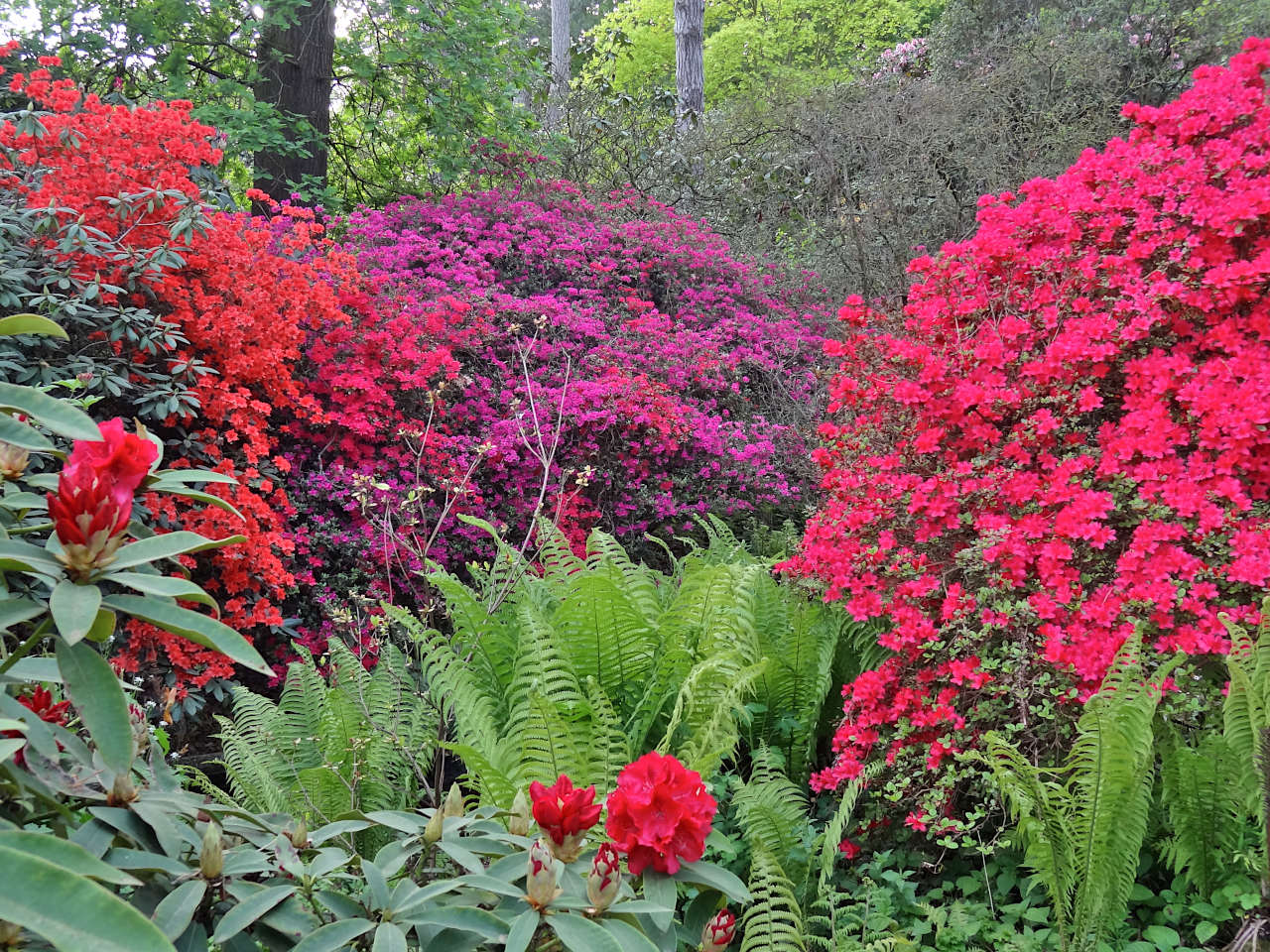 parc floral de Paris