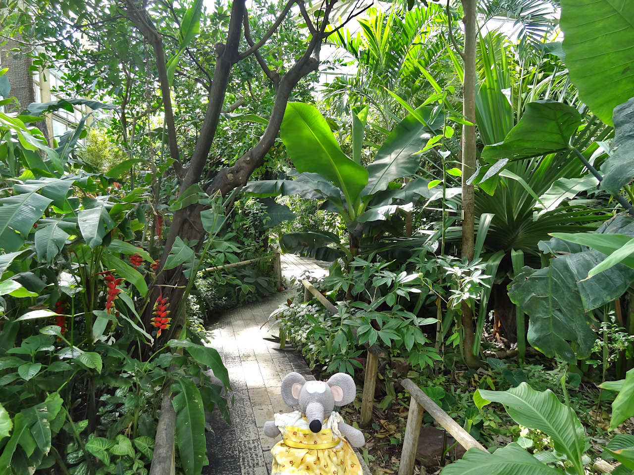 serre du jardin des plantes de Caen