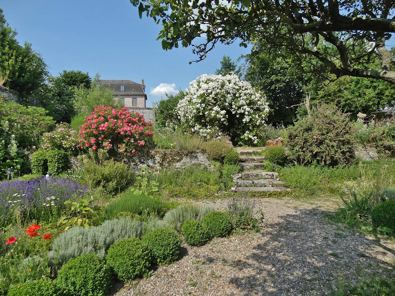 Herbarium Saint-Valery-sur-Somme