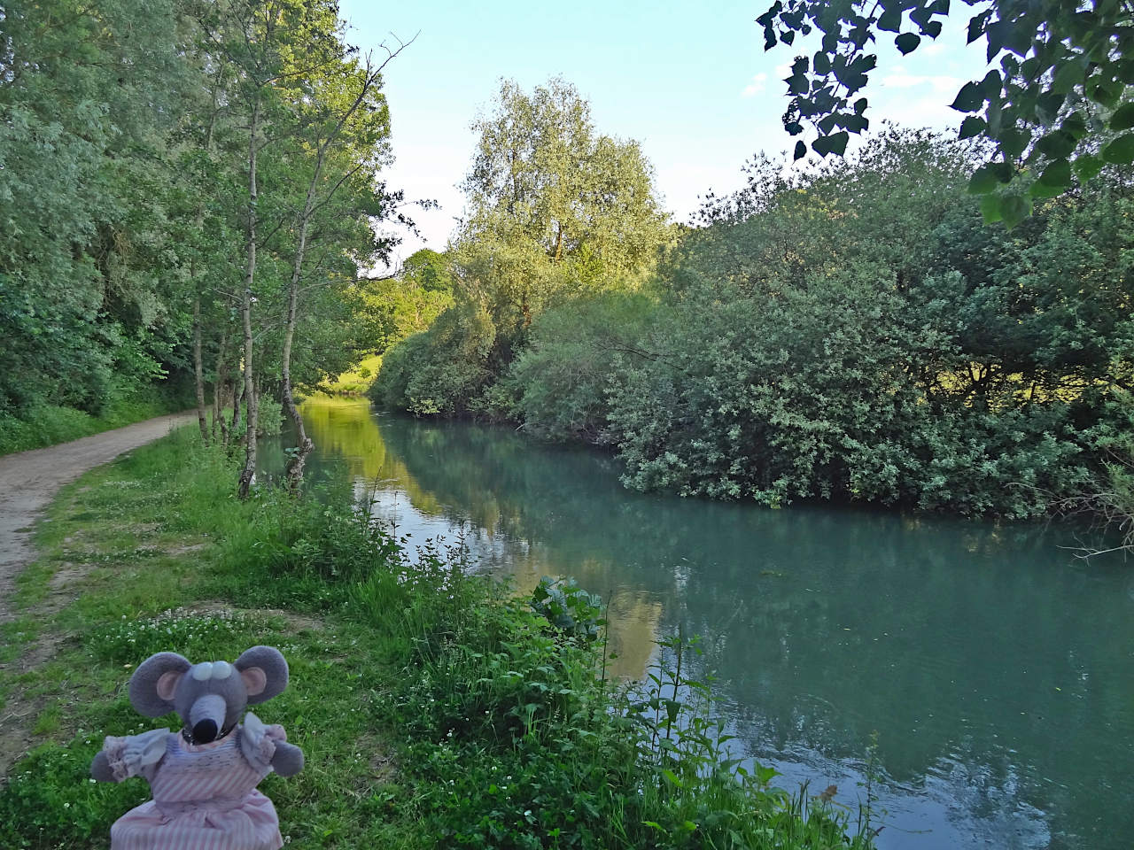 la Canche à Montreuil-sur-Mer