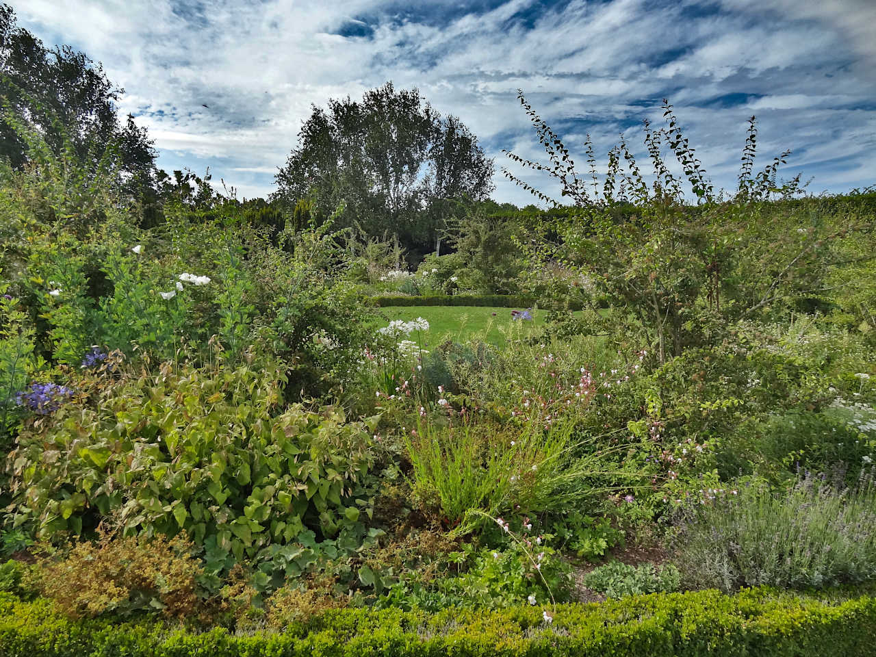 jardin du Mémorial de Caen