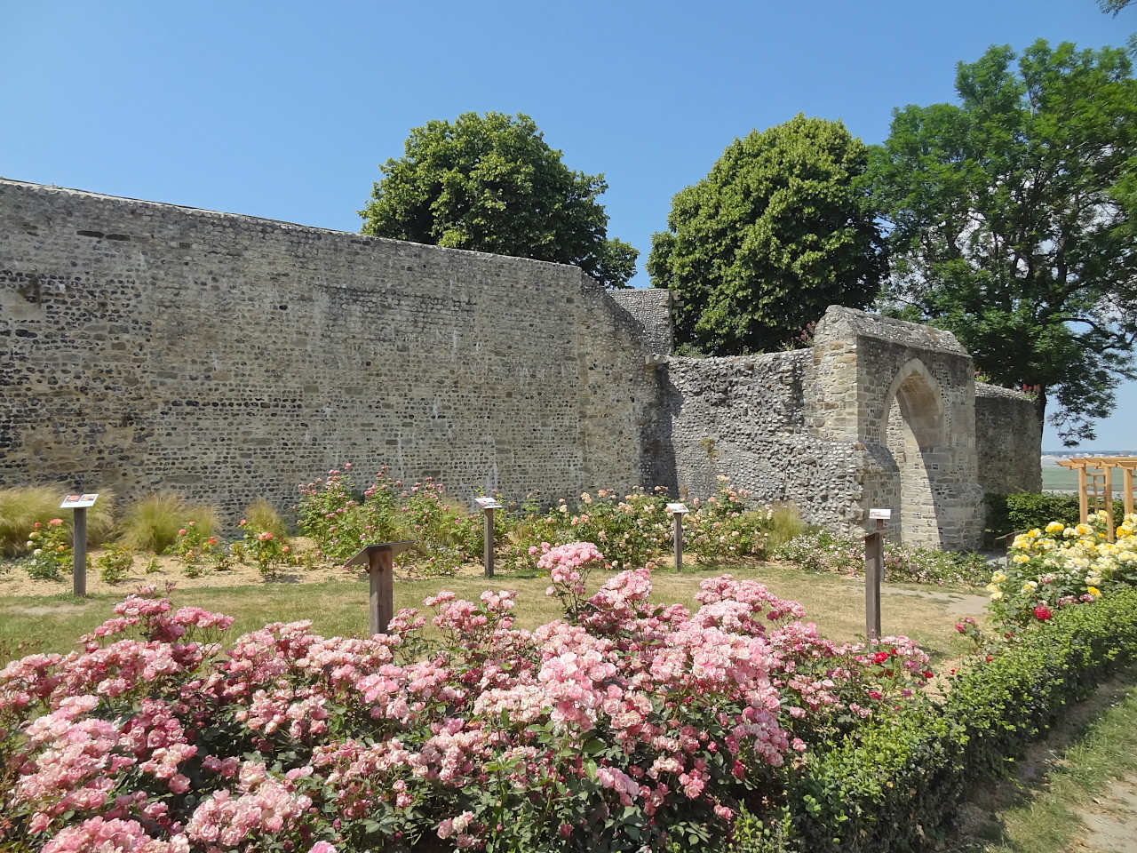 roseraie Saint-Valery-sur-Somme