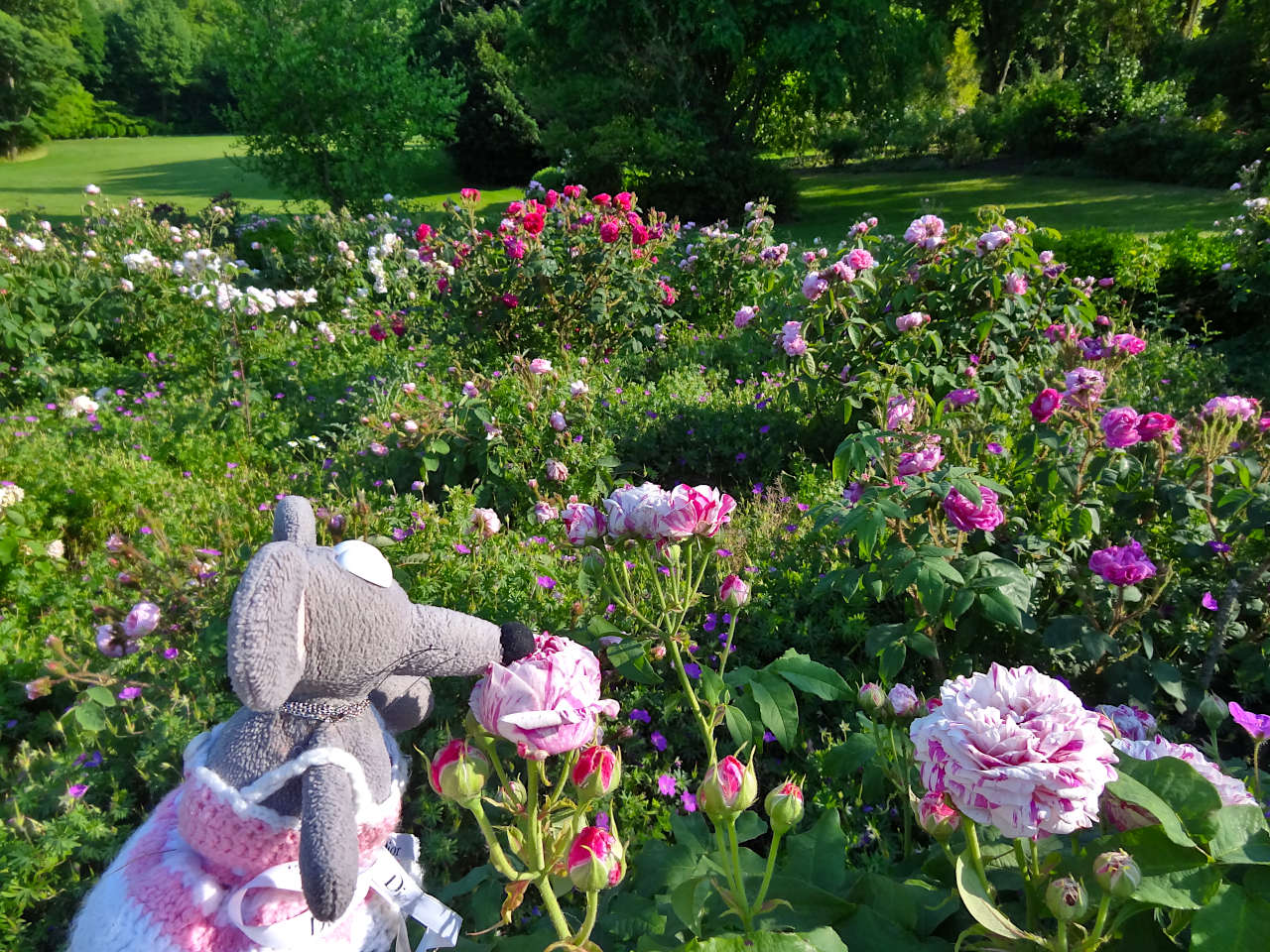 jardins de Valloires