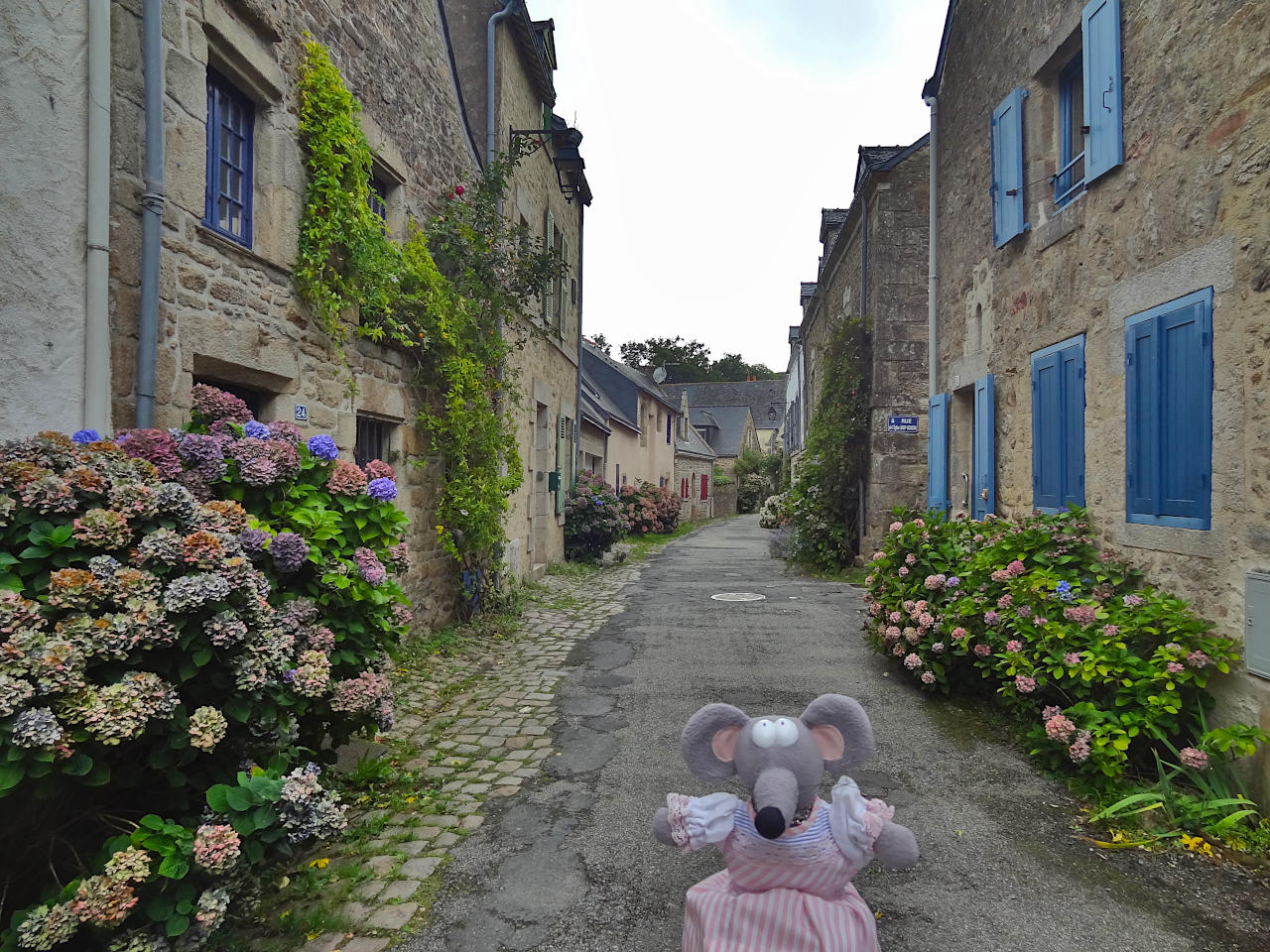 rue du petit port à Auray