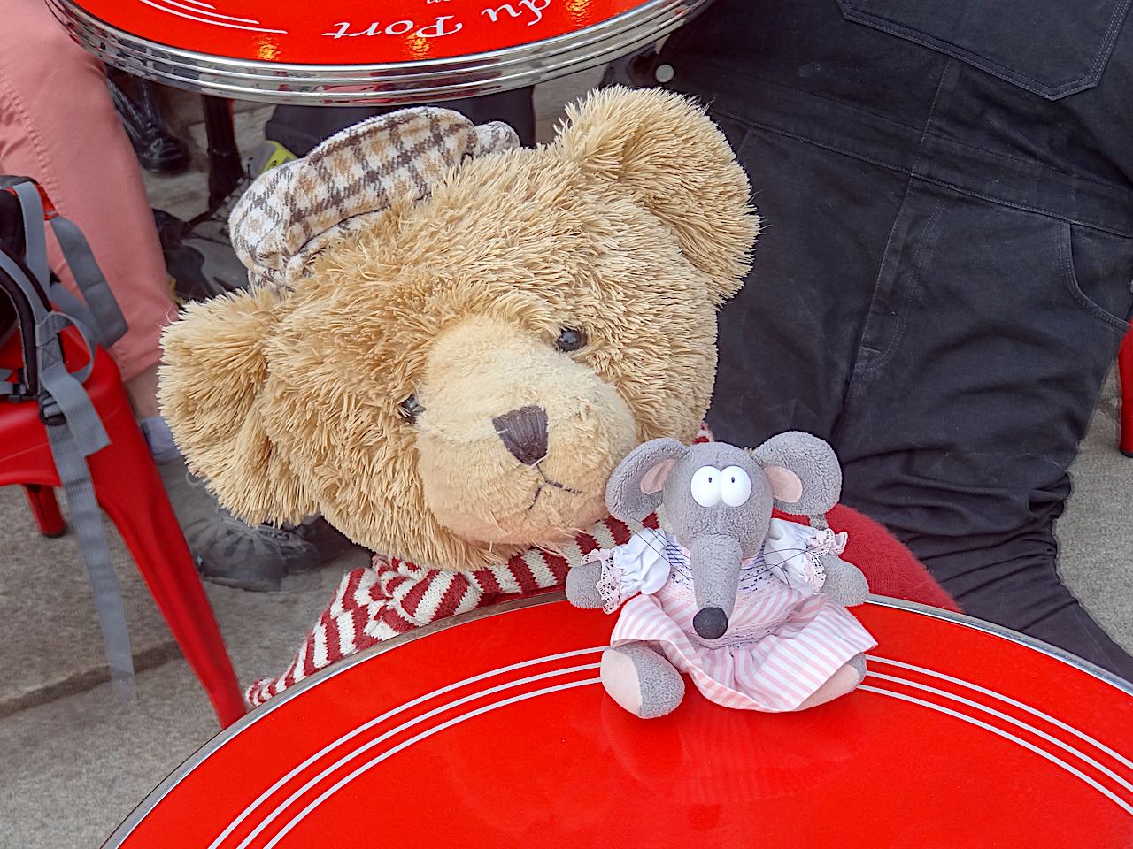 Auray nounours