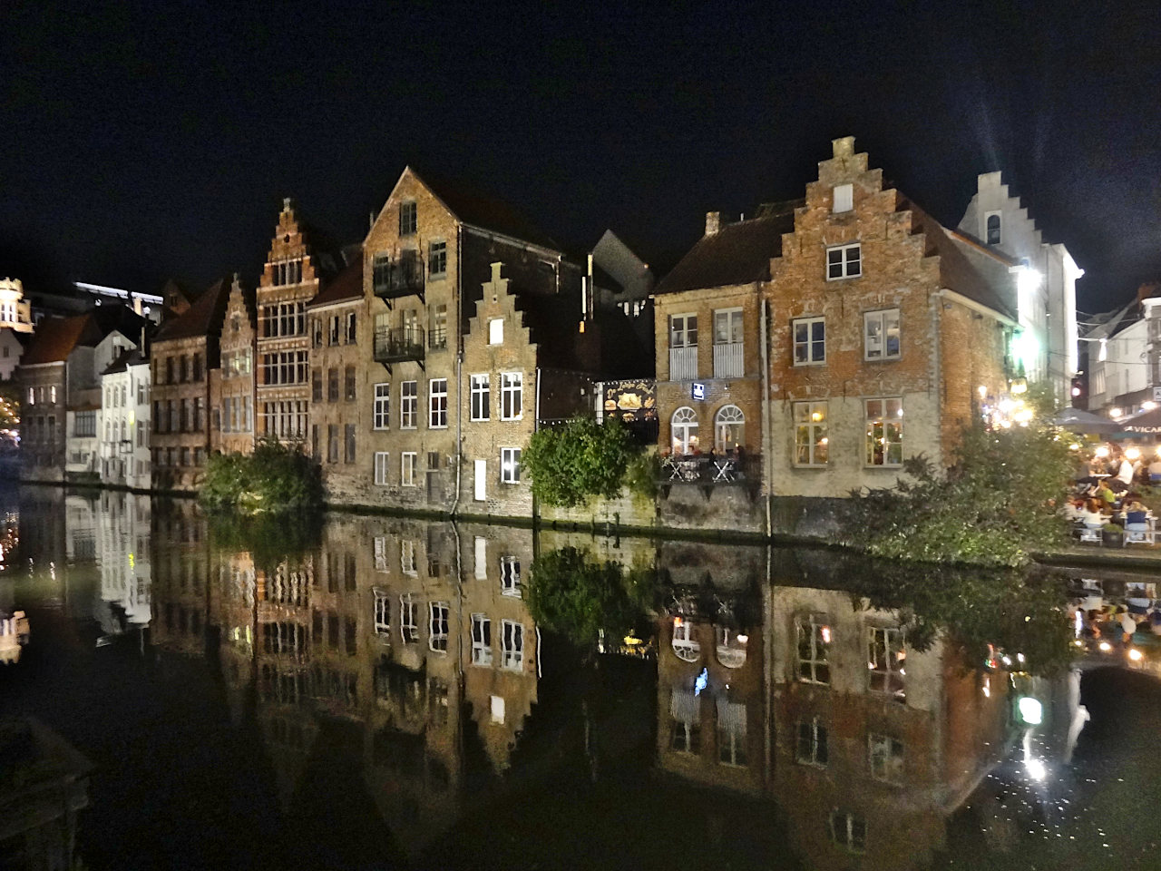 Gand Lys de nuit