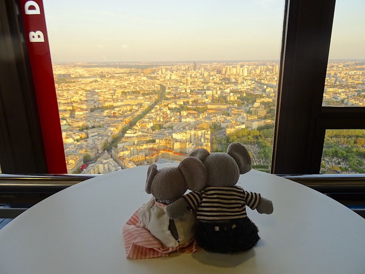 tour Montparnasse vue amoureux