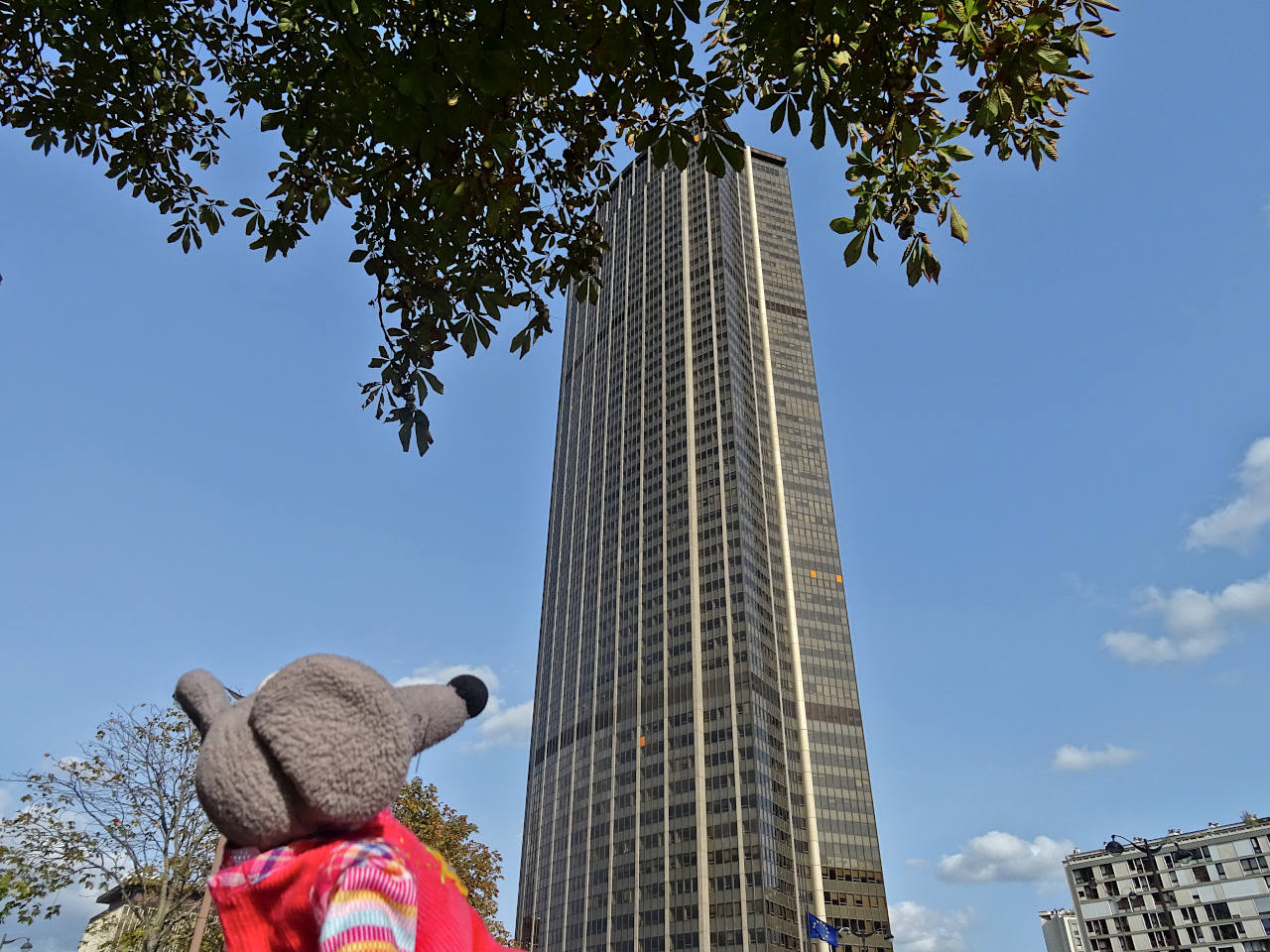 tour montparnasse miranda