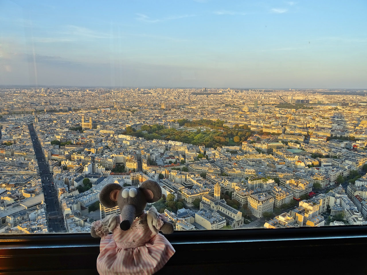 vue depuis le 56e étage de la tour Montparnasse