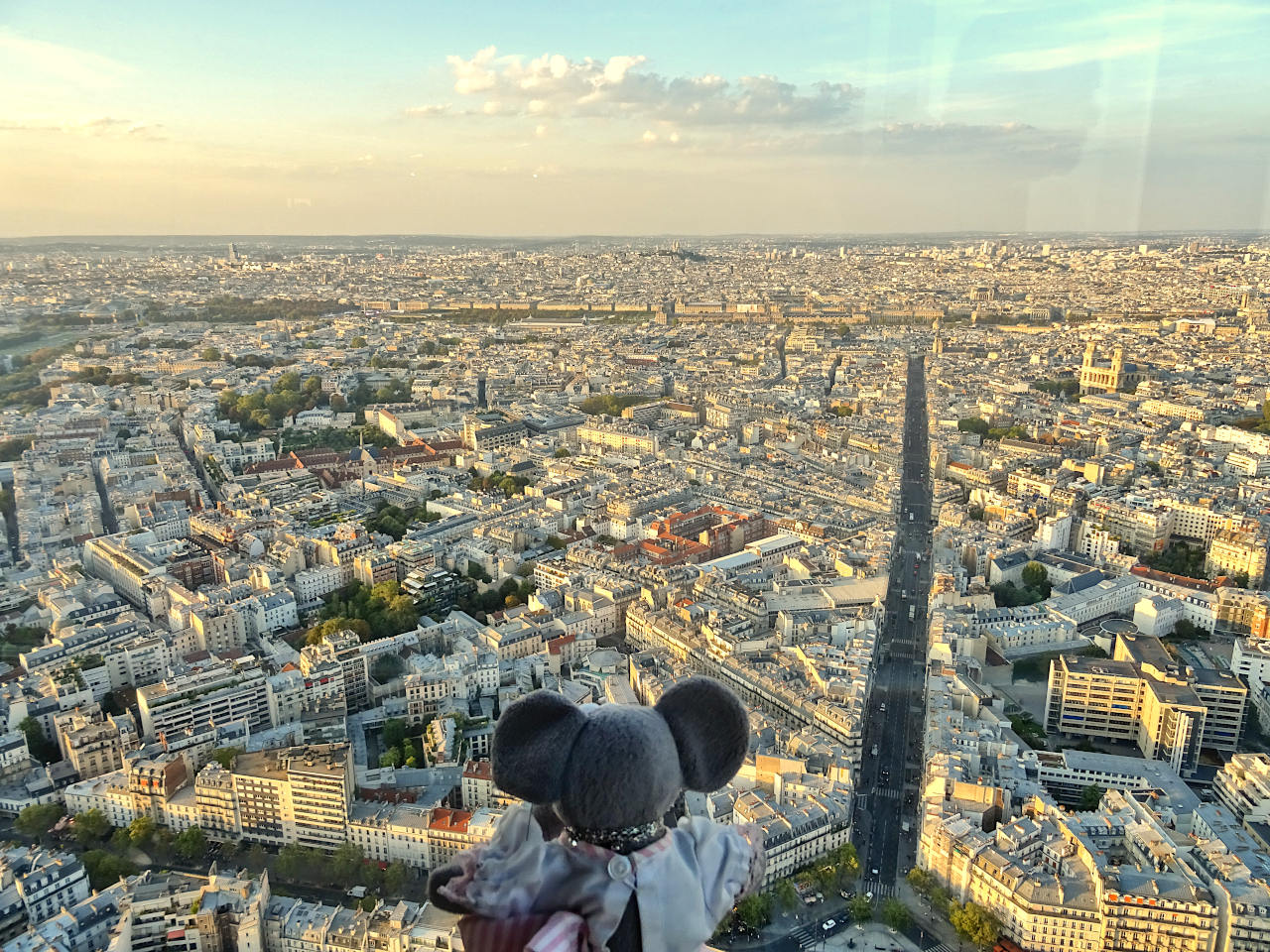 vue depuis le 56e étage de la tour Montparnasse