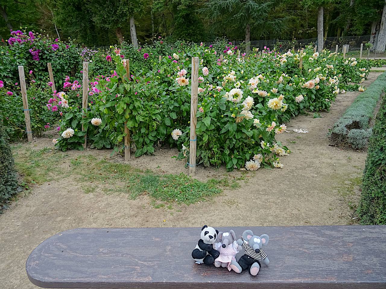 Chenonceau fleurs