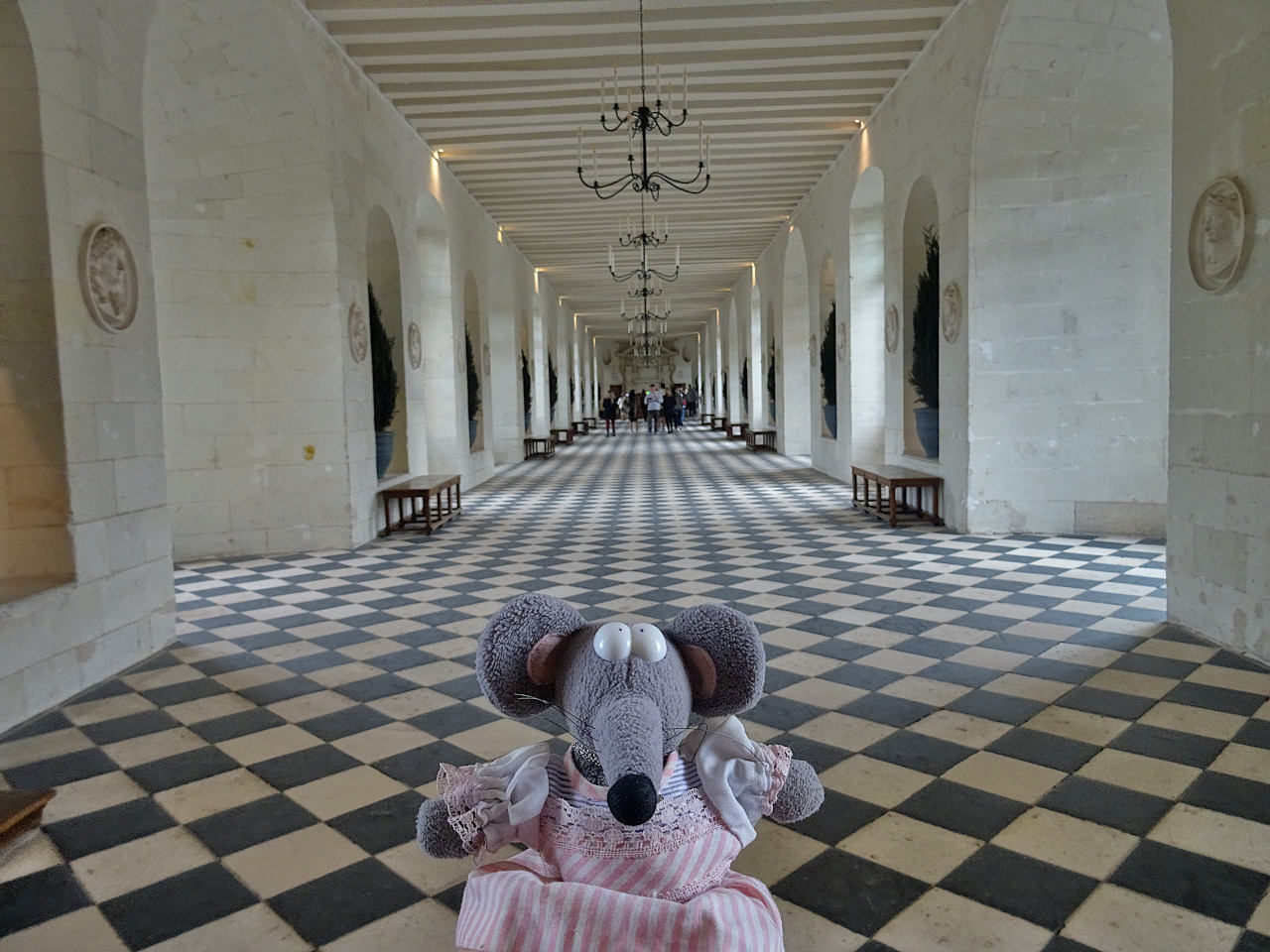 Chenonceau galerie