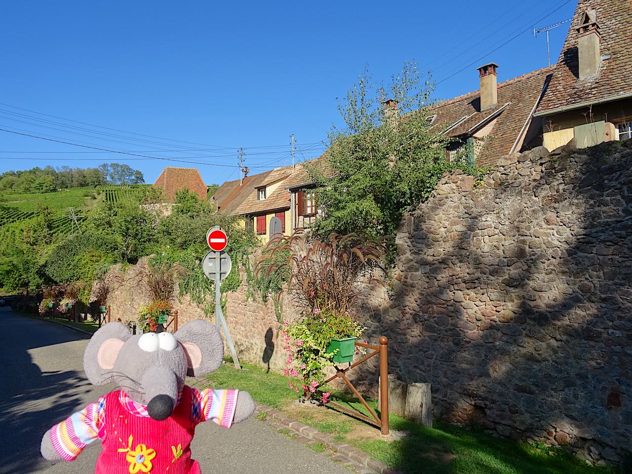 Riquewihr remparts