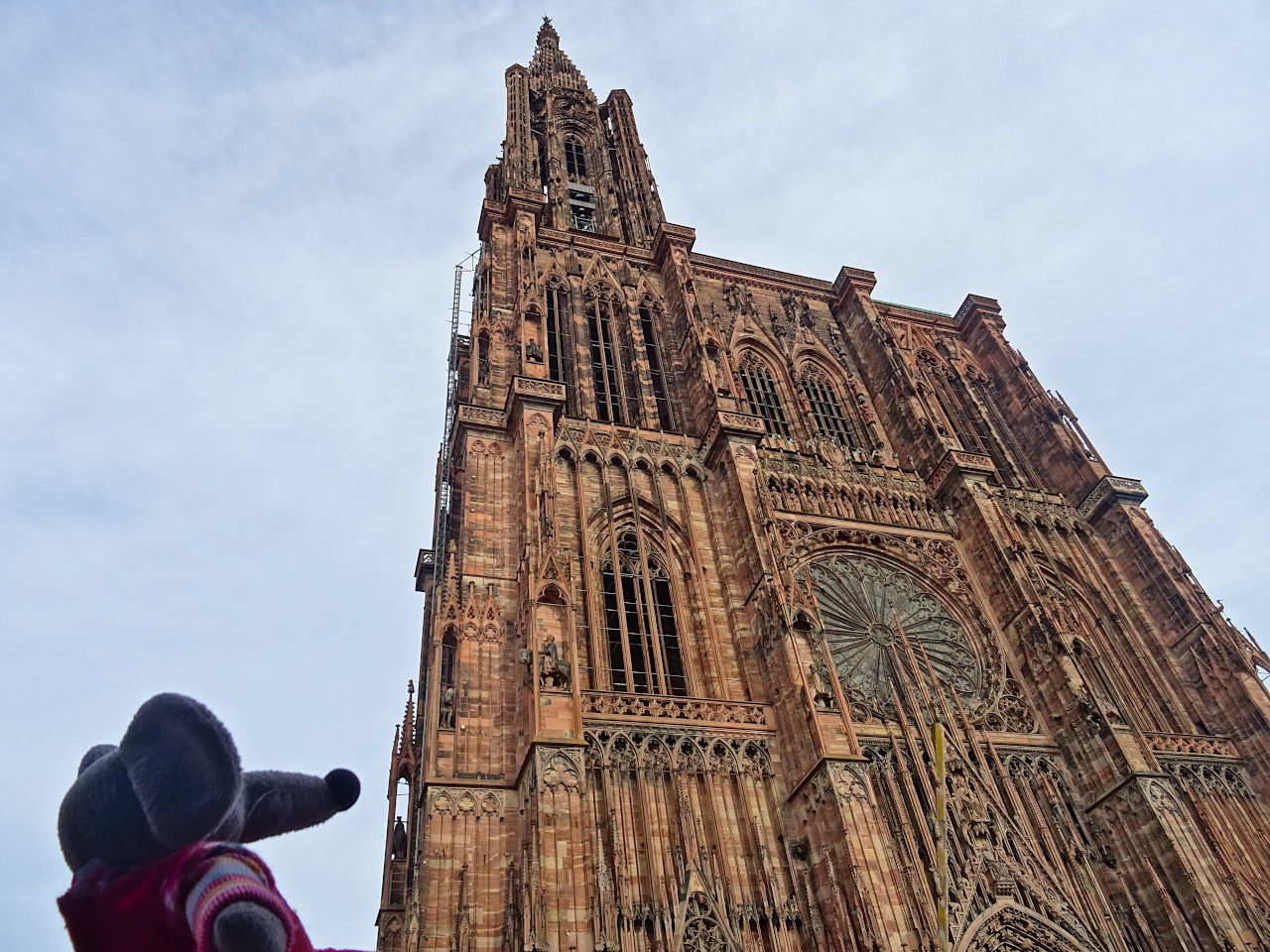 cathédrale de Strasbourg