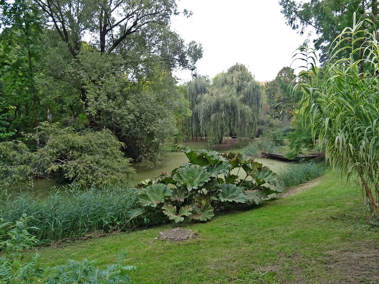 Strasbourg jardin botanique