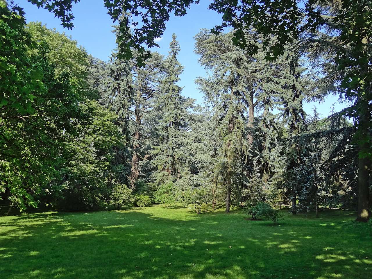 jardin Albert Kahn forêt