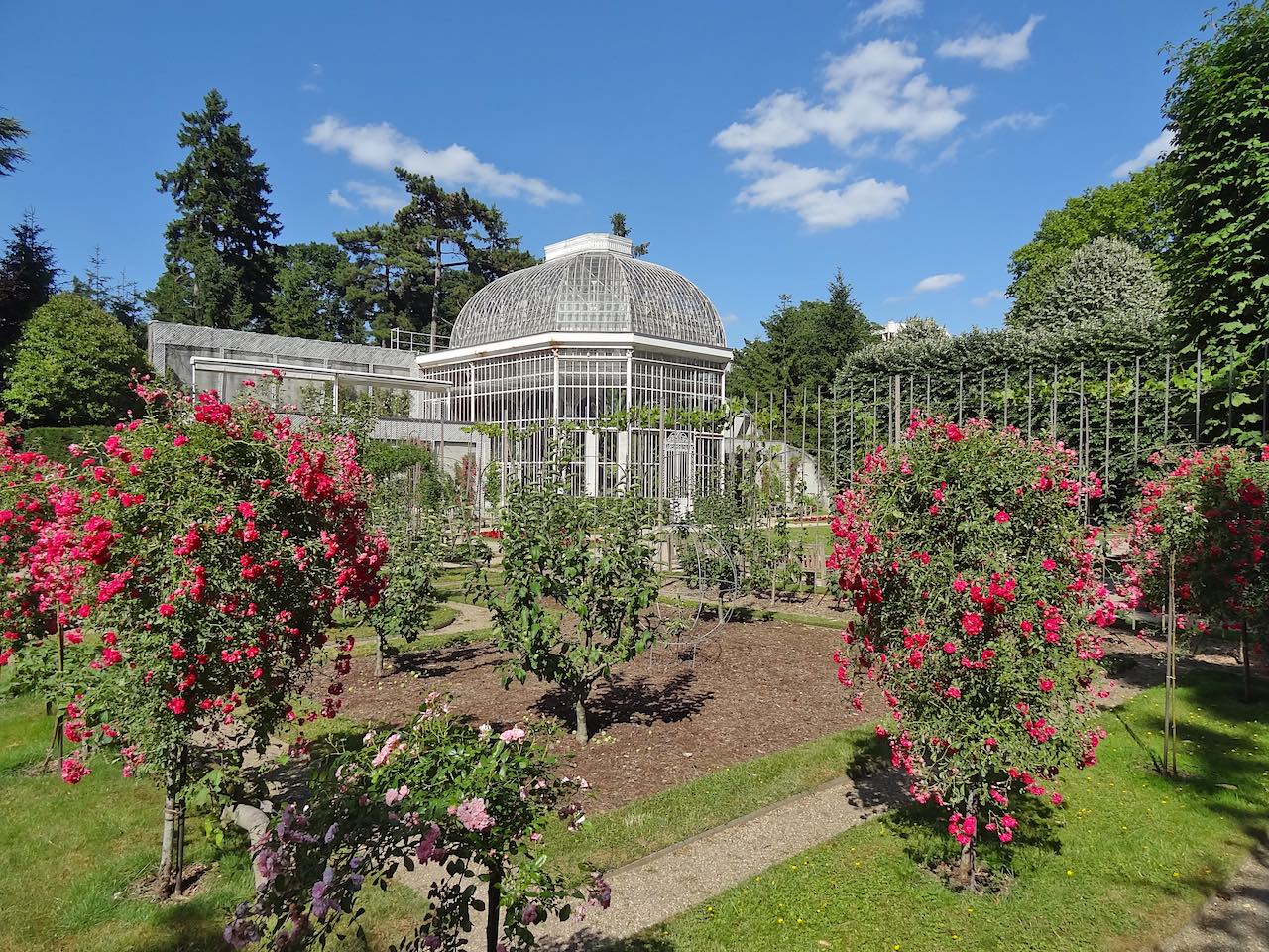 jardin Albert Kahn roseraie