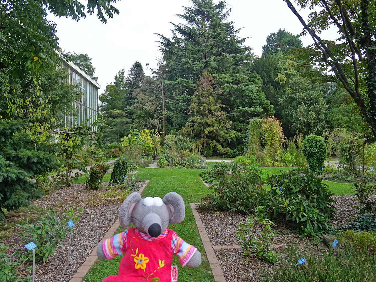 jardin botanique de Strasbourg