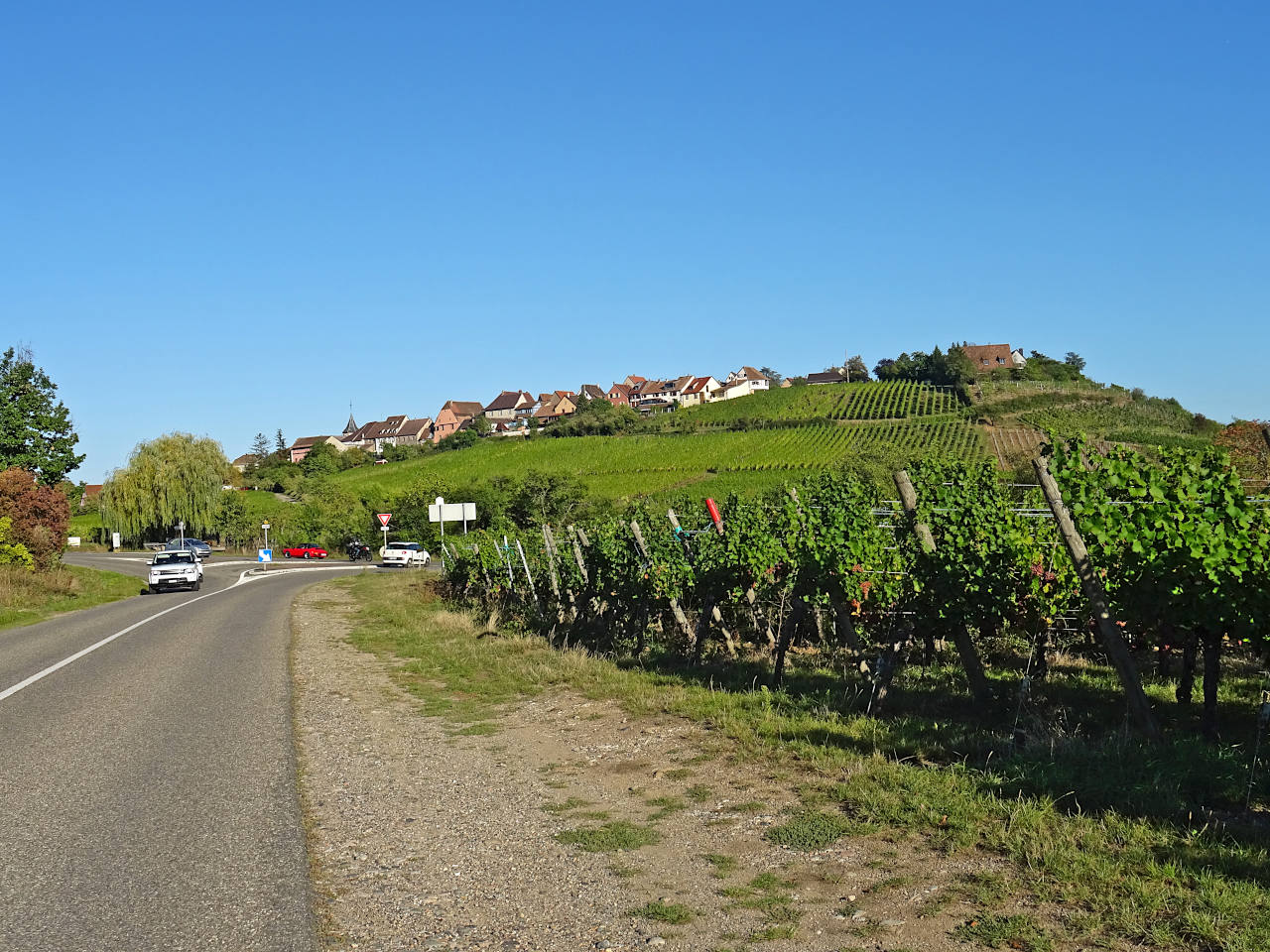route des vins d'Alsace