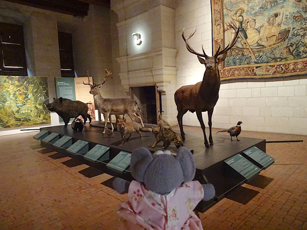 salon de chasse Chambord