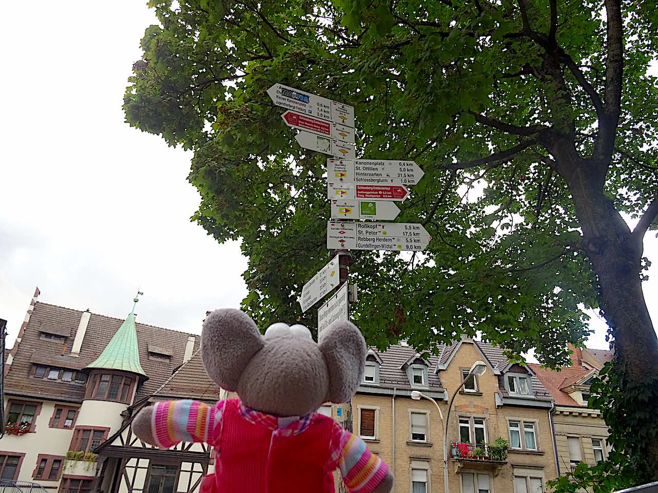 Freiburg ville panneaux