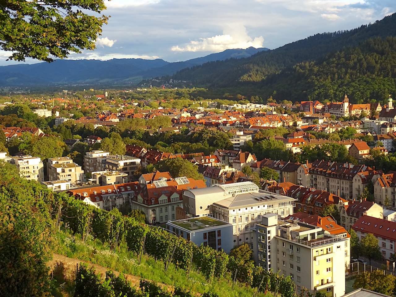 Freiburg vue