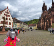 Münsterplatz de Freiburg