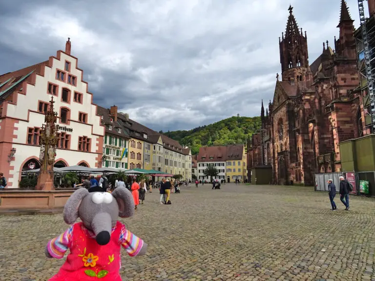 Münsterplatz de Freiburg