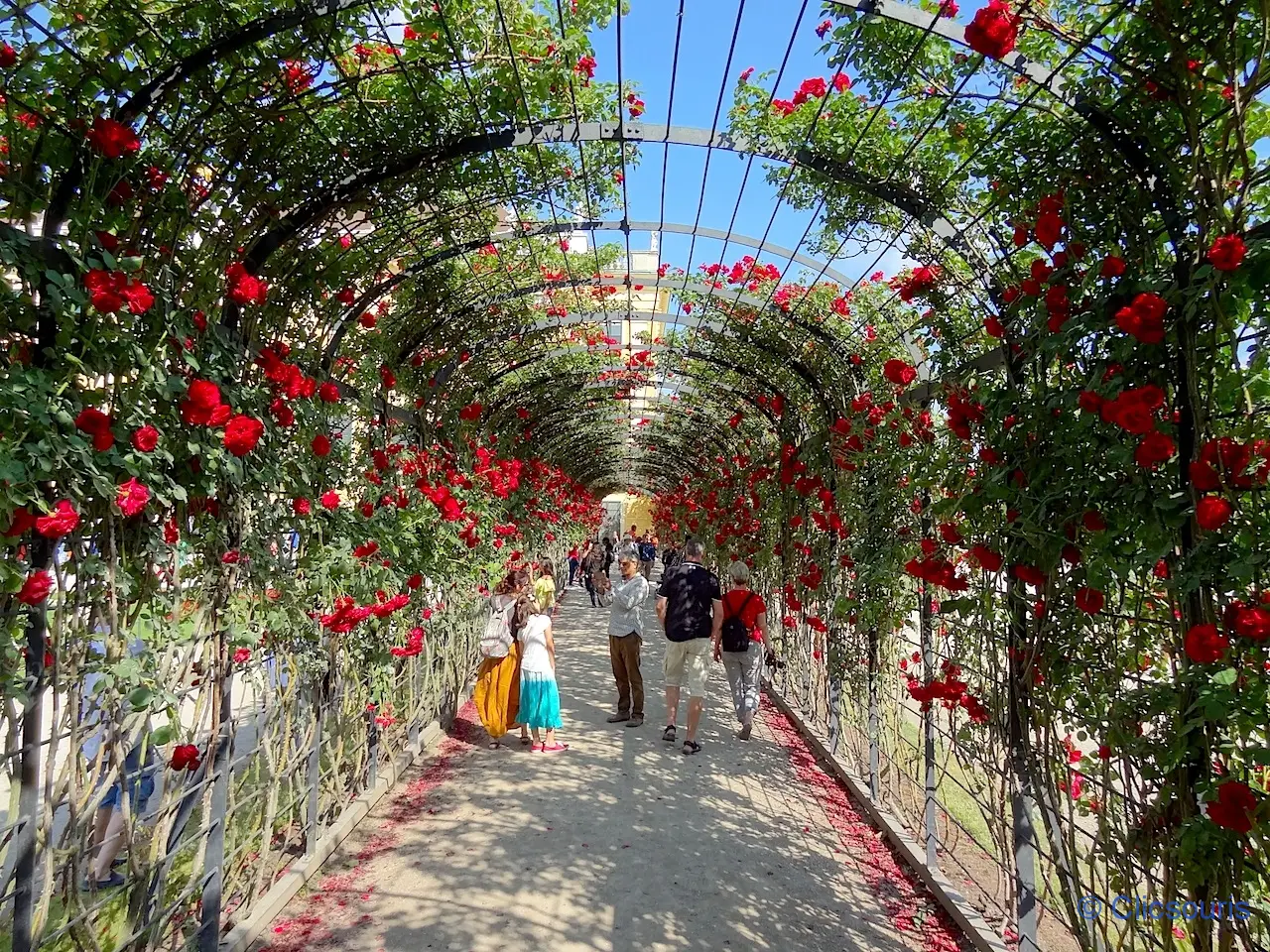 Parc du château de Schönbrunn1