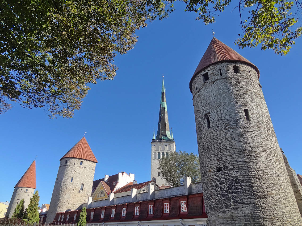 Tallinn remparts