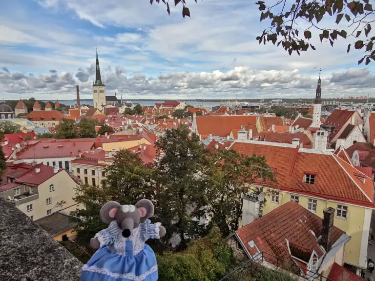 Tallinn vue
