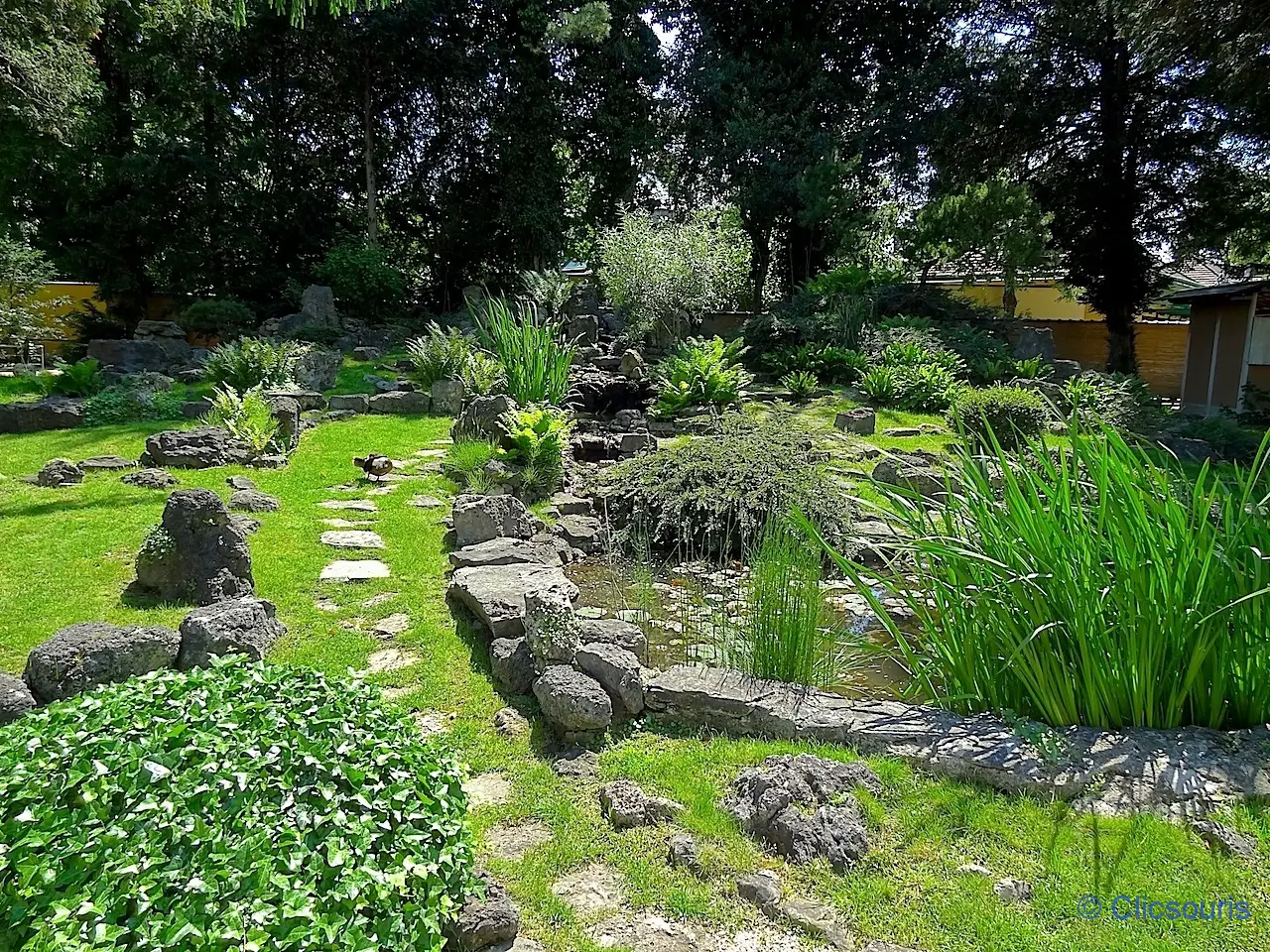 jardin japonais de Schönbrunn