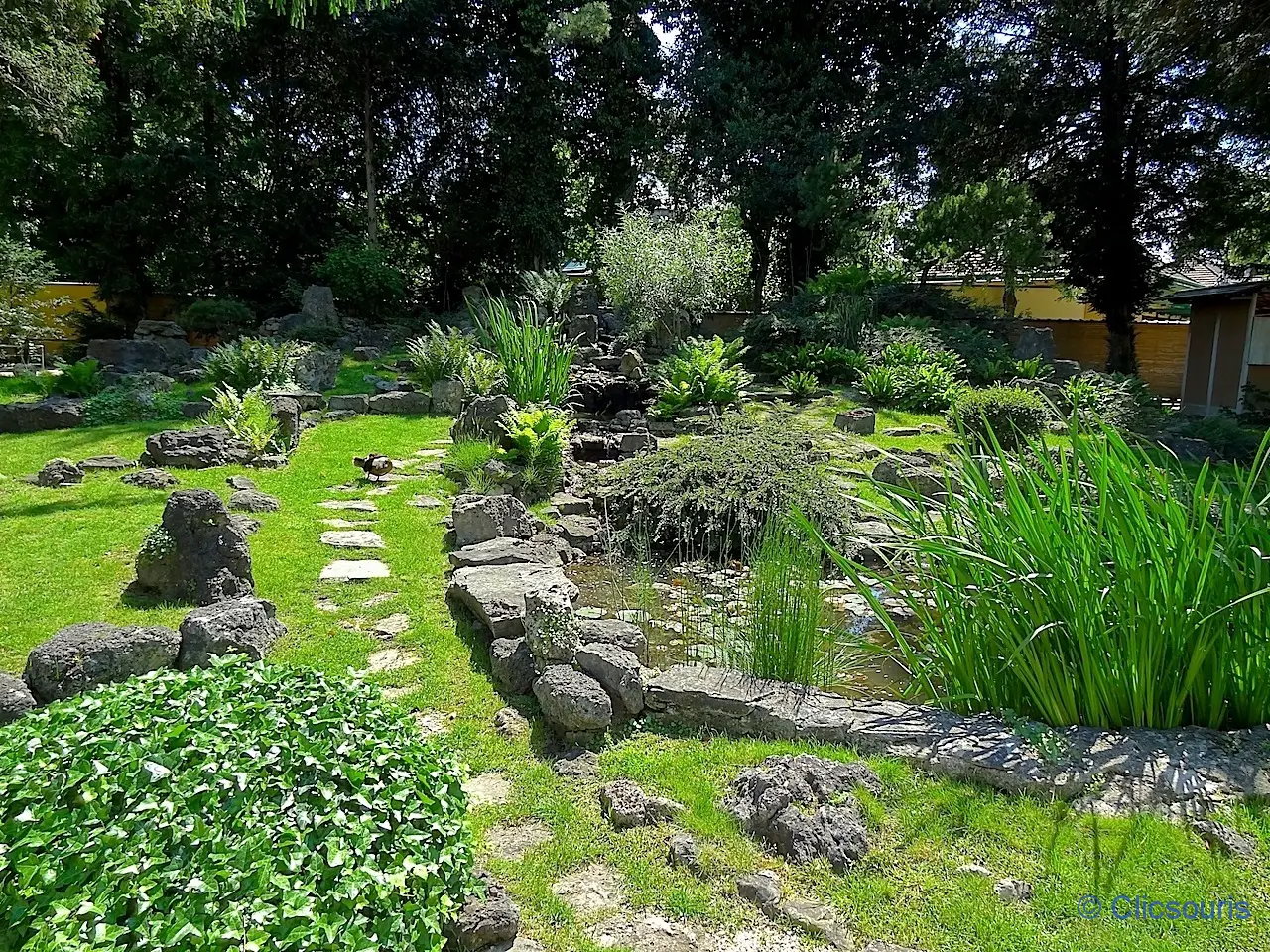 jardin japonais de Schönbrunn