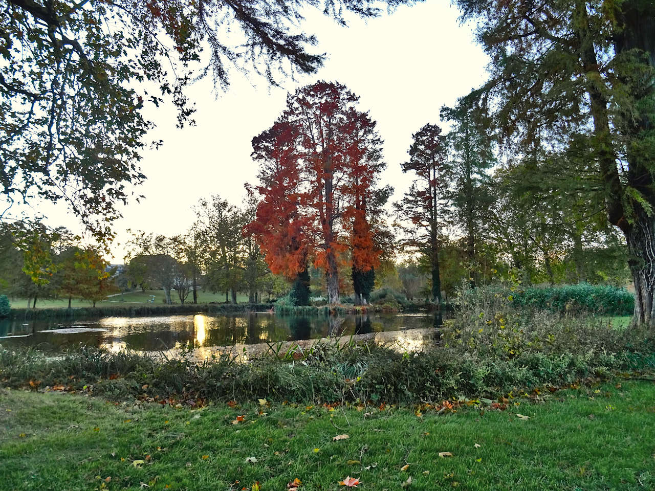 parc Chantilly automne