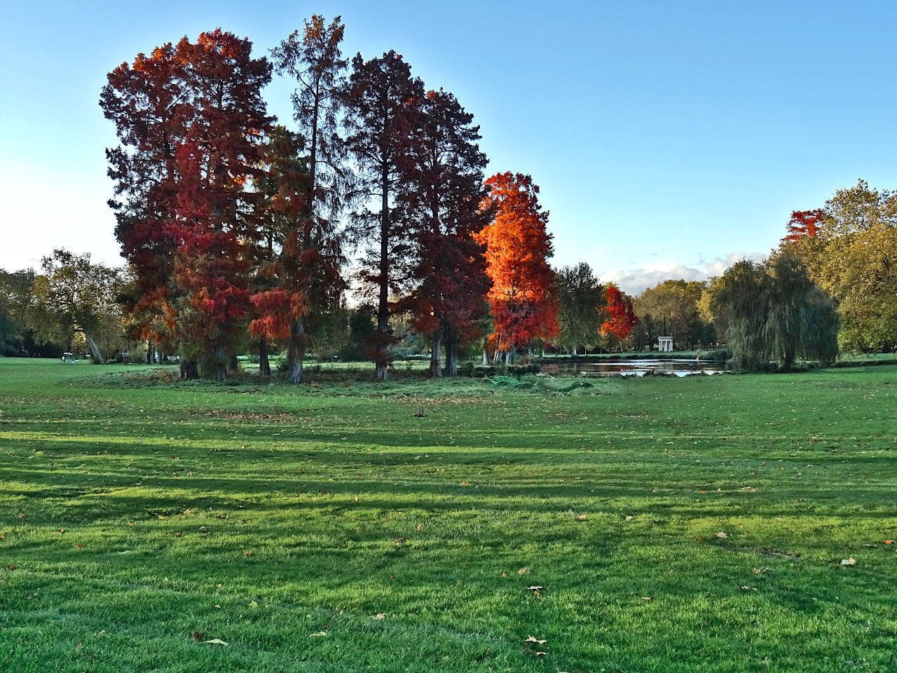 parc Chantilly automne