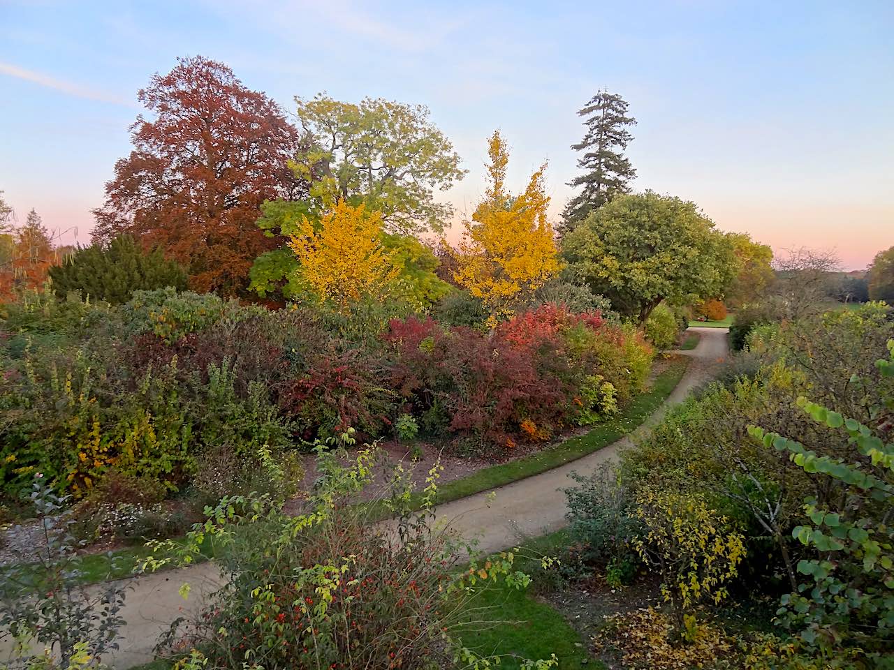 parc Compiègne