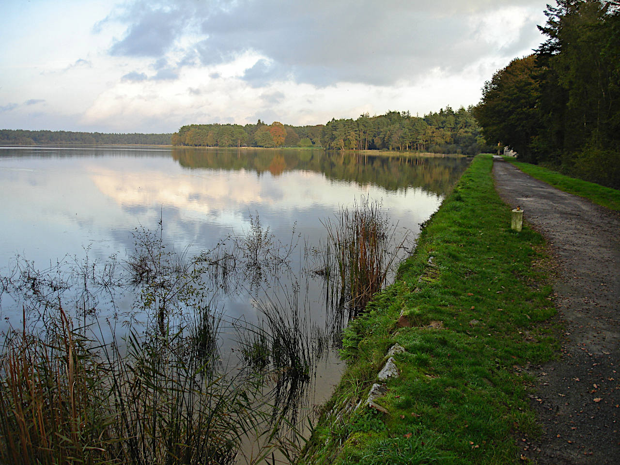 Forêt de Brocéliande (forêt de Paimpont)