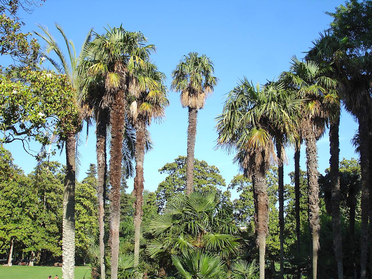 Jardin botanique de Bordeaux