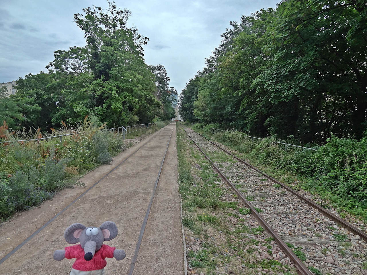 Petite Ceinture de Paris