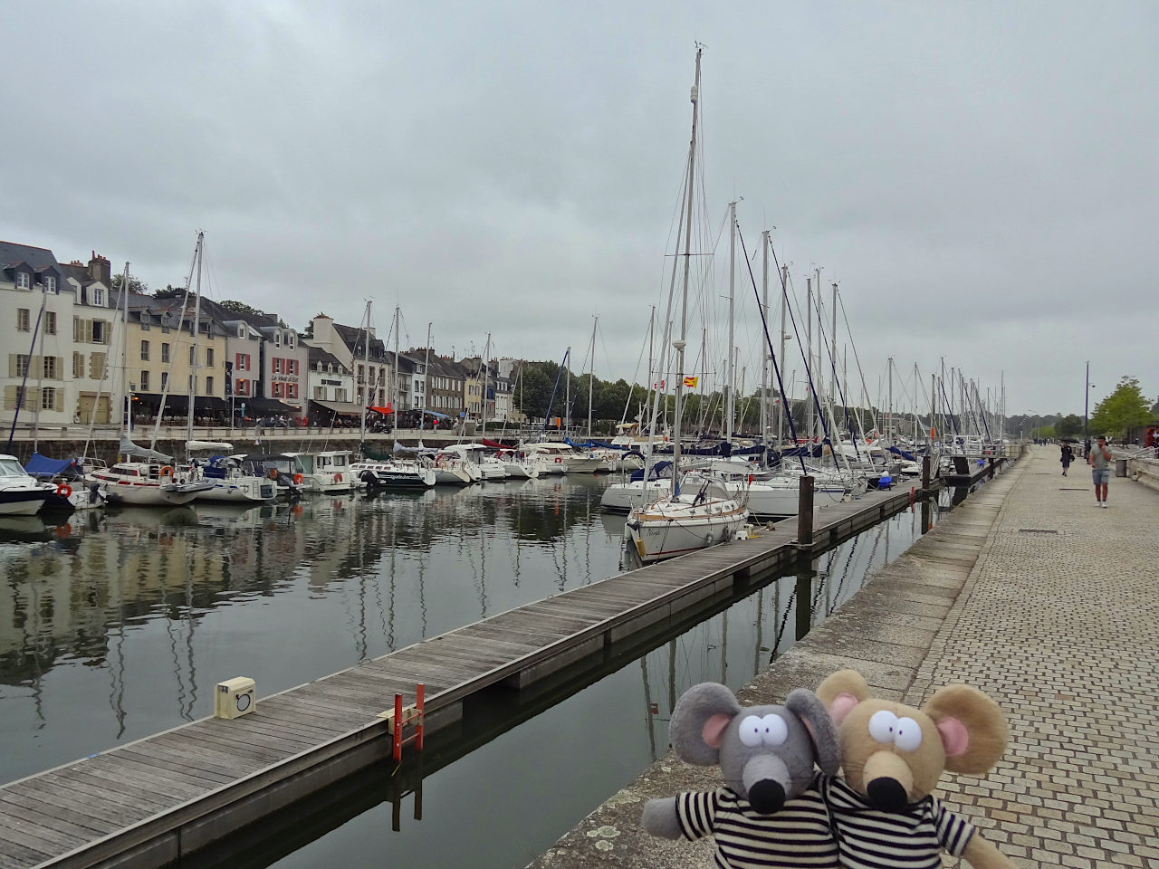 Port de Vannes