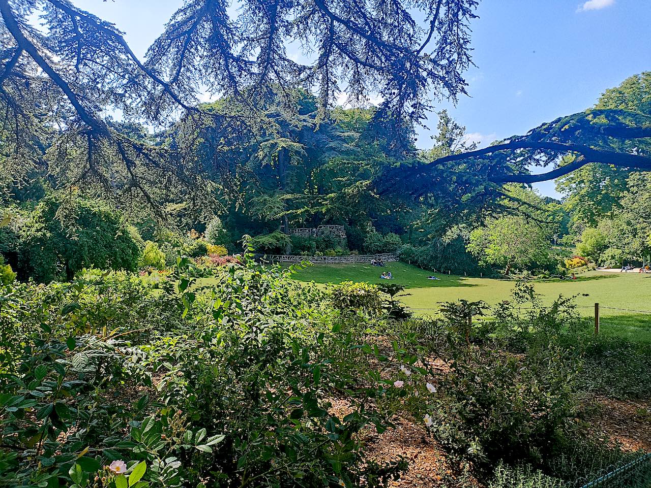 parc Montsouris