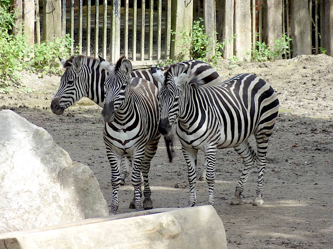 zoo de Lille