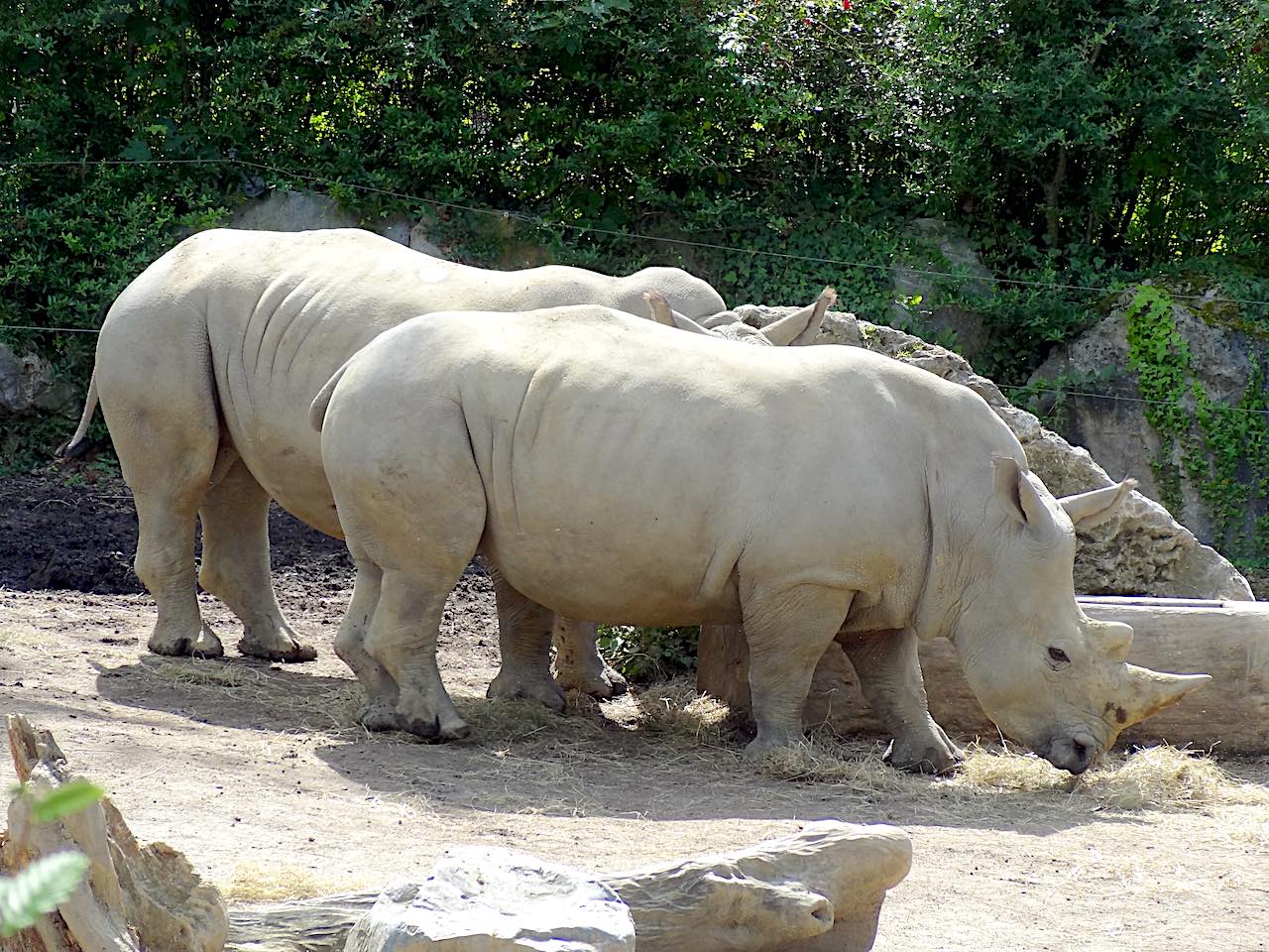 zoo de Lille