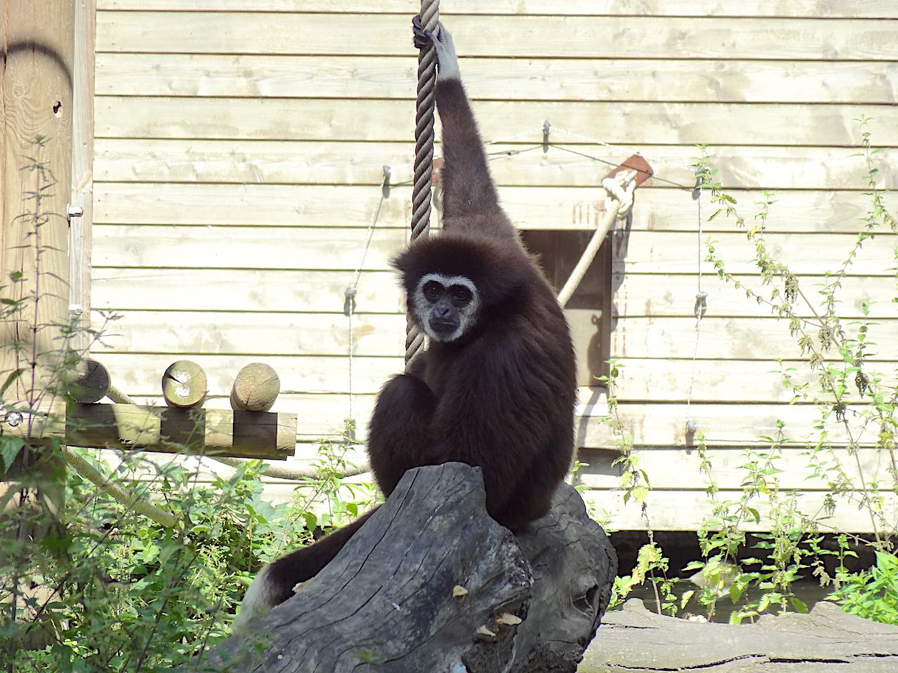 zoo de Lille